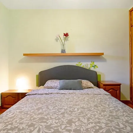 Palmeras 因赫尼奥